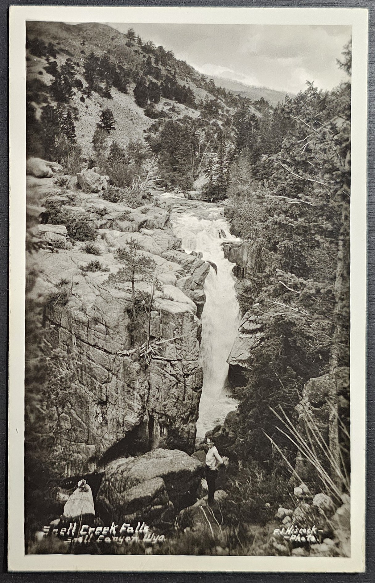 postcard USA - WY - Wyoming #0021 (image for) postcard USA - WY - Wyoming #0021